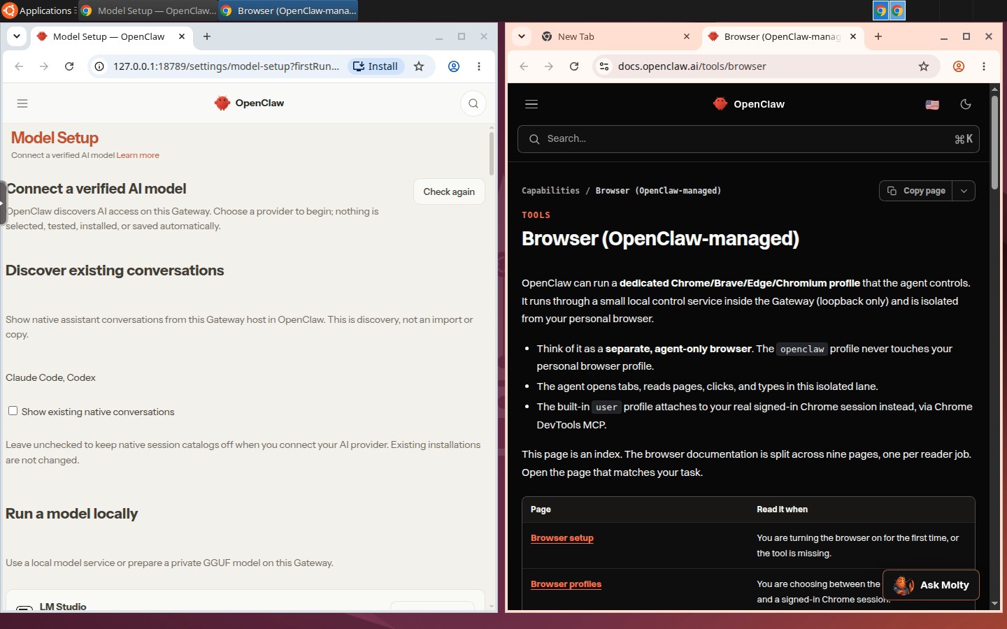 OpenClaw Desktop: the OpenClaw Control UI and the agent's own Chrome window side by side on the Ubuntu desktop