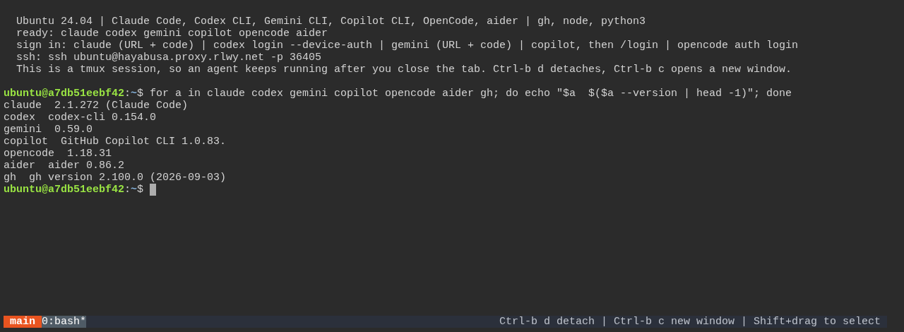 Ubuntu AI Coding Agents Terminal in the browser: the welcome banner and the versions of Claude Code, Codex CLI, Gemini CLI, Copilot CLI, OpenCode, aider and gh